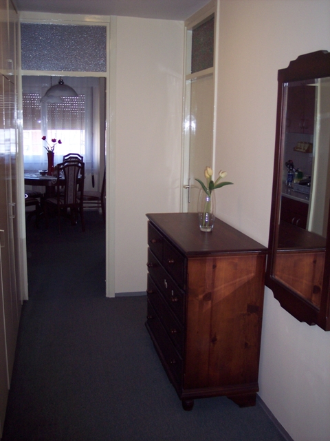 Slika 7 - Jurija Gagarina, Dvosoban stan za izdavanje, 55m2, 550€